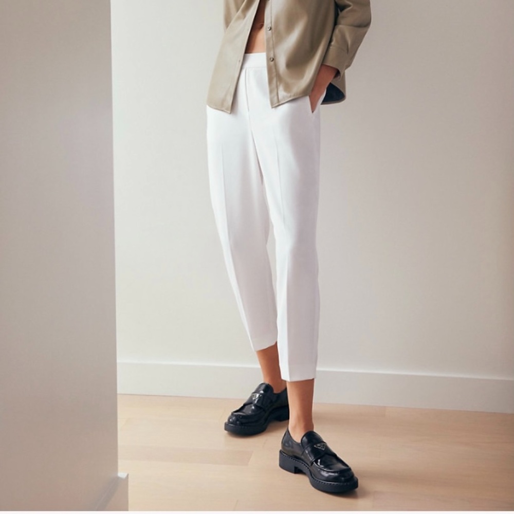 Aritzia Babaton Conan Pant